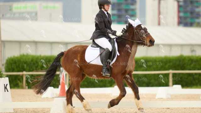 DOMA02032025M-139