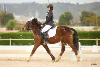 DOMA02032025M-140