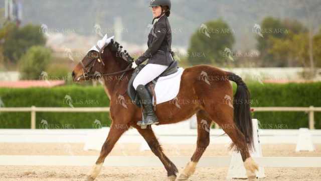 DOMA02032025M-140
