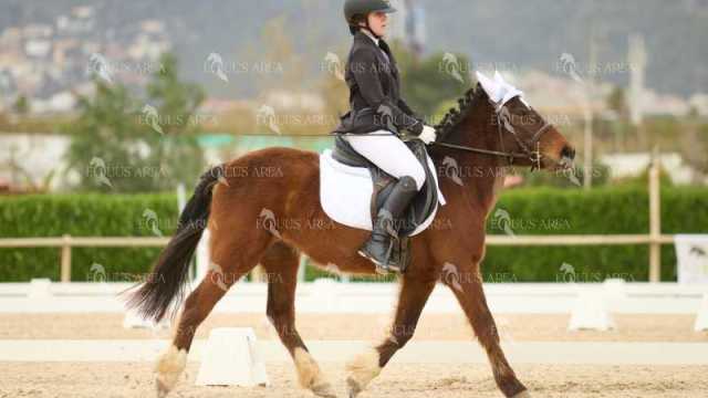 DOMA02032025M-141