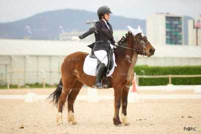 DOMA02032025M-142
