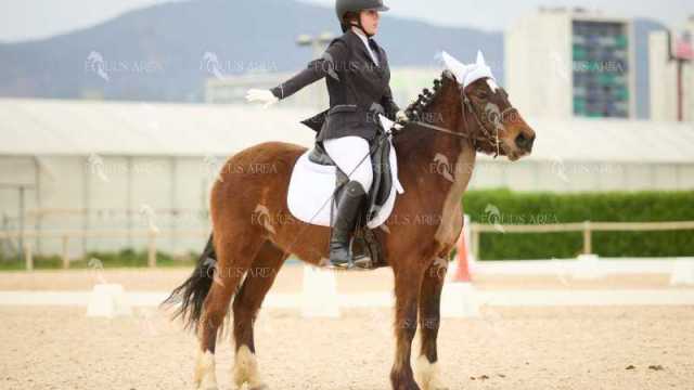 DOMA02032025M-142