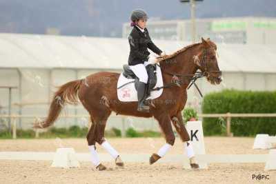 DOMA02032025M-143