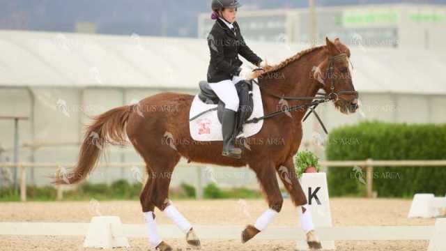 DOMA02032025M-143