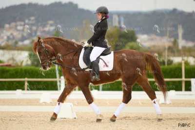 DOMA02032025M-144