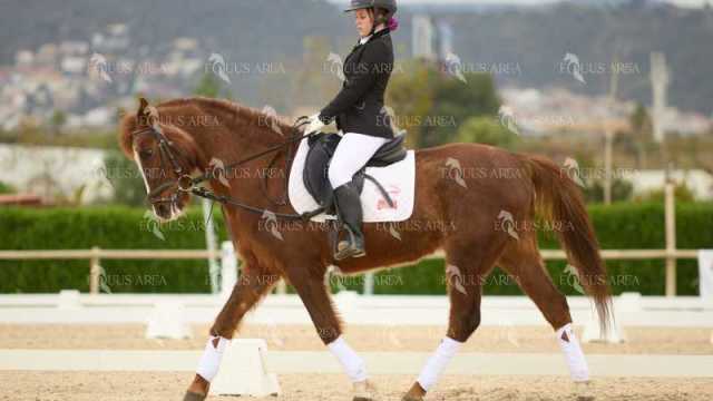 DOMA02032025M-144