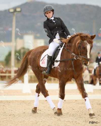 DOMA02032025M-145