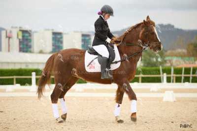 DOMA02032025M-146