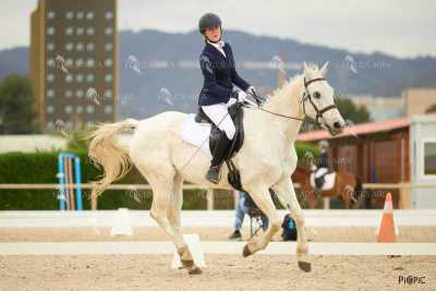 DOMA02032025M-147