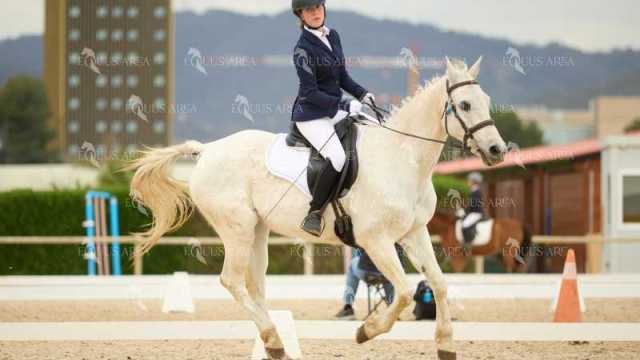 DOMA02032025M-147