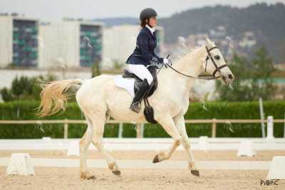 DOMA02032025M-148