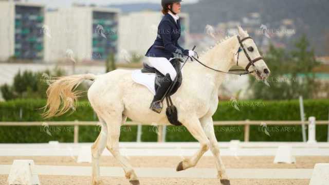 DOMA02032025M-148