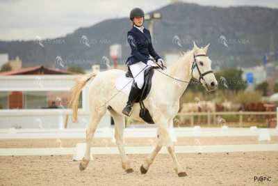 DOMA02032025M-149