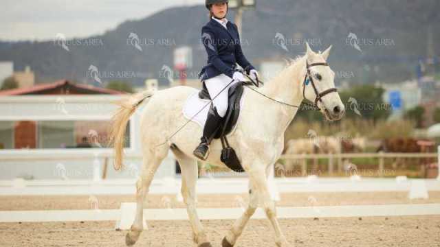 DOMA02032025M-149