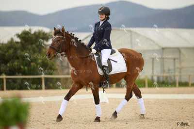 DOMA02032025M-152