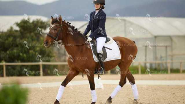 DOMA02032025M-152