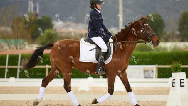 DOMA02032025M-153