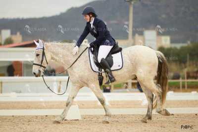 DOMA02032025M-154