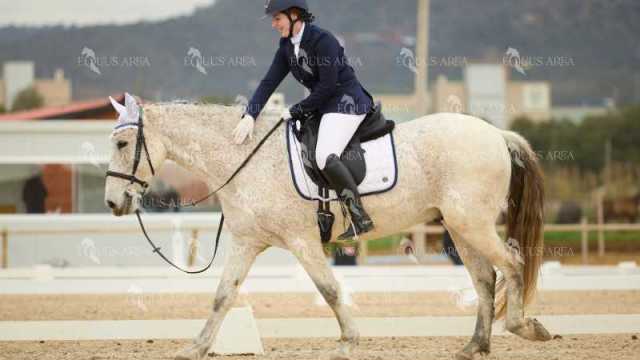 DOMA02032025M-154