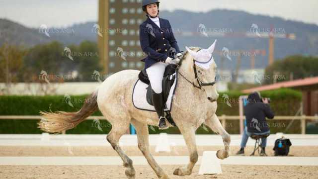 DOMA02032025M-156