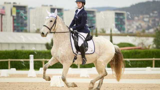 DOMA02032025M-157
