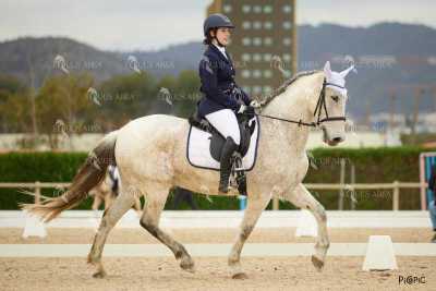DOMA02032025M-159
