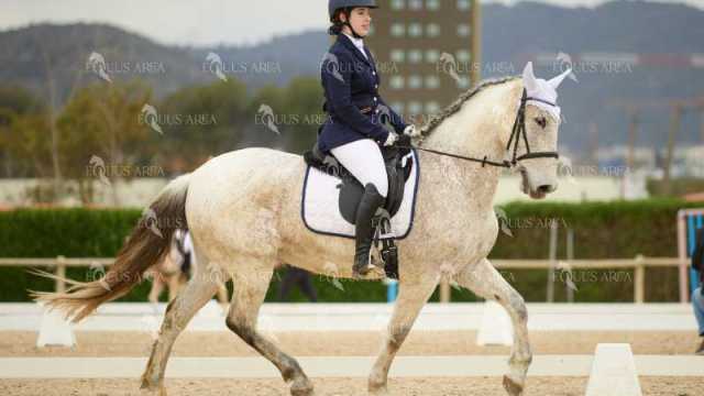DOMA02032025M-159