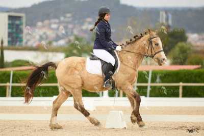 DOMA02032025M-162