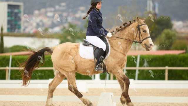 DOMA02032025M-162