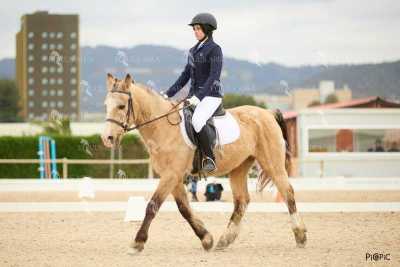 DOMA02032025M-163