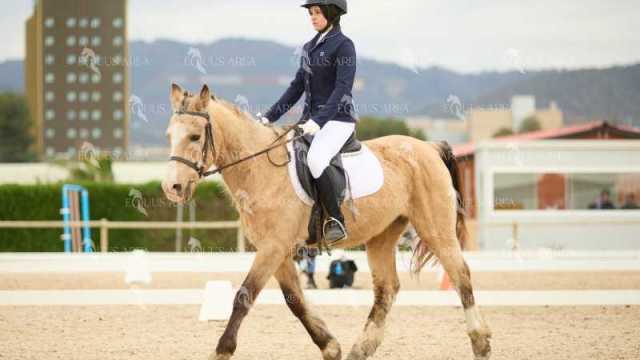 DOMA02032025M-163