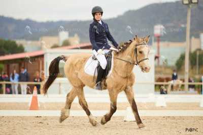 DOMA02032025M-164