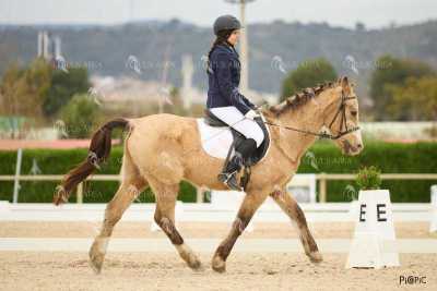 DOMA02032025M-165