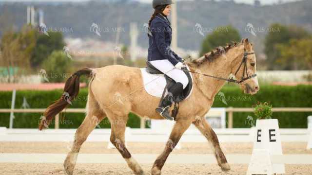 DOMA02032025M-165