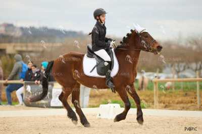 DOMA02032025M-168