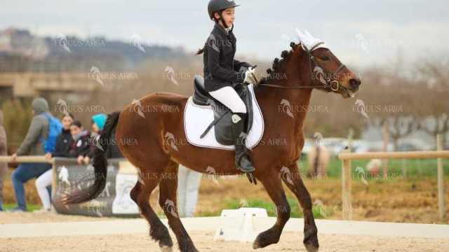 DOMA02032025M-168