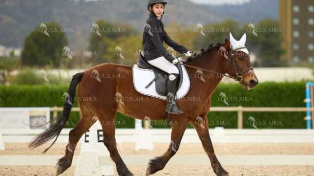 DOMA02032025M-169