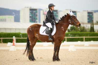 DOMA02032025M-170