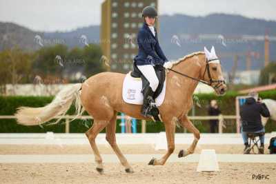 DOMA02032025M-171