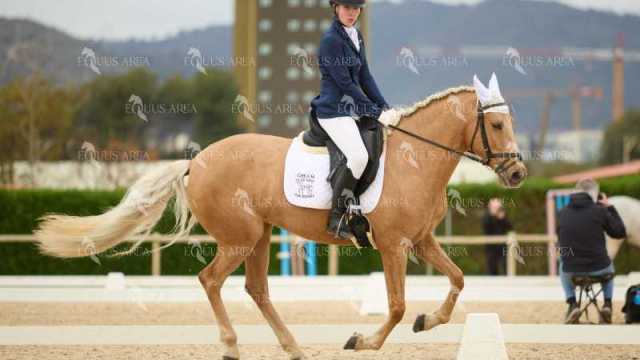 DOMA02032025M-171