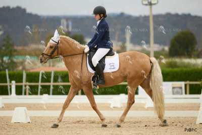 DOMA02032025M-172
