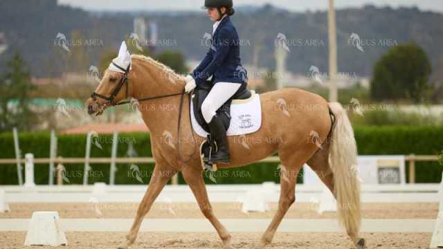 DOMA02032025M-172