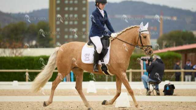DOMA02032025M-173