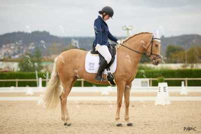 DOMA02032025M-174