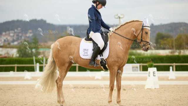 DOMA02032025M-174