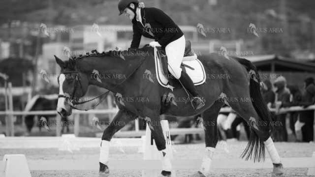 DOMA02032025M-175