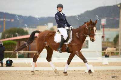 DOMA02032025M-176