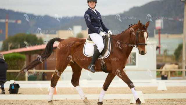 DOMA02032025M-176