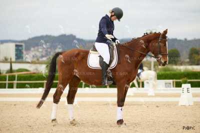 DOMA02032025M-177