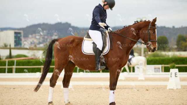 DOMA02032025M-177